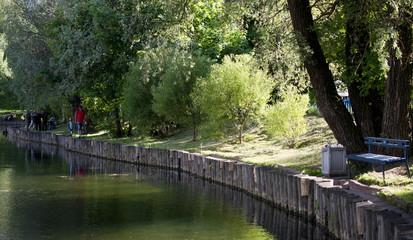 Fototapeta na wymiar bank of lake in park