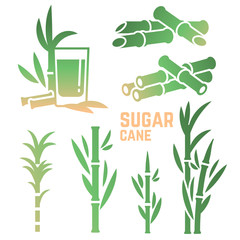 Fototapeta premium Sugar cane silhouettes icons of collection isolated on white background. Vector illustration