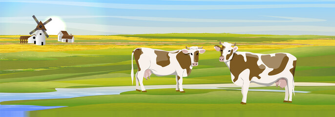 Naklejka premium Two cows in a meadow near the river. Countryside. Household buildings mill, shed, village house. Fields. Vector landscape