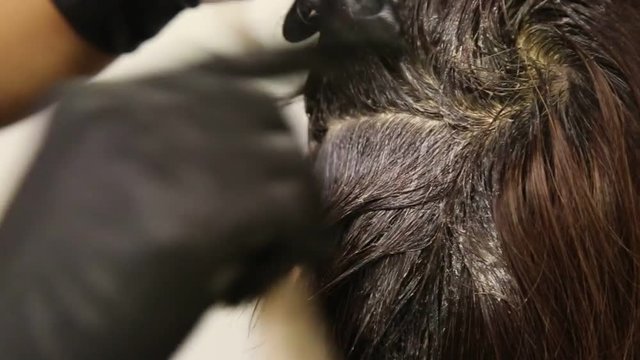 Series of closeup of hair dresser applying chemical color dye onto hair 