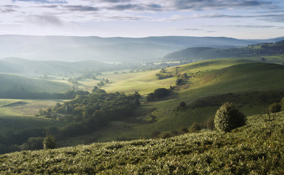 Green Farming Hills in Morning Autumnal Mist