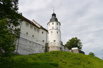 Fototapeta na wymiar Turm Schloss Hellenstein