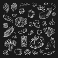 Hand drawn vegetables. Farm product in retro sketch style. Chalk drawing vegetables on blackboard vector collection. Illustration of food vegetable sketch, vegetarian organic healthy product