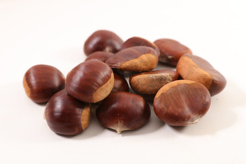 chestnut isolated on white