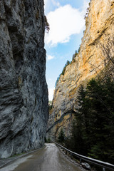 View of the Tigrad Gorge, a canyon of vertical marble rocks in the Rhodope Mountains in Bulgaria