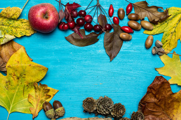 On a blue, wooden background lies autumn leaves, wild red rose fruits, acorns, apple and cones. In the middle place for text