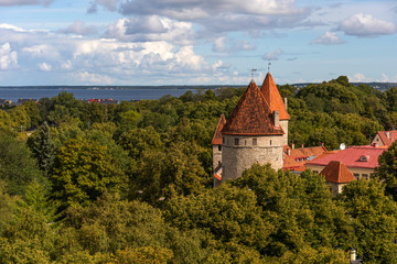 Obraz premium Amazing panoramic view of the city wall and towers Old Town of Tallin, Estonia