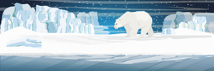 Lonely Large polar bear walks through the snow. The glacier, snow-covered plains and cold blue sea. Starry night in the North. Landscapes of the Arctic. © AnnstasAg