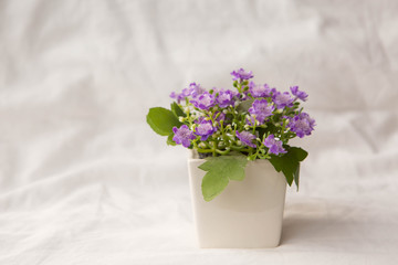 artificial purple flowers in small pot
