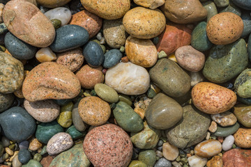Fototapeta na wymiar Wet, colorful, pebbles on Mediterranean beach. Texture, background concept.