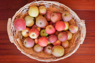  pommes du jardin