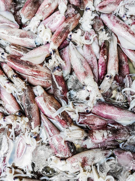 Fresh Fish At The Wet Market