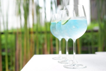 bombay gin tonic with wine glasses