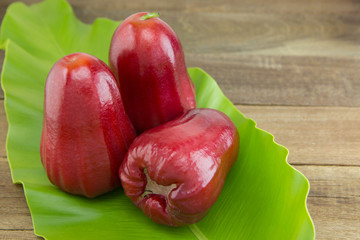 red rose apple on green leaf, selective focus