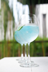 bombay gin tonic with wine glasses