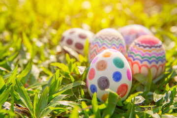easter eggs on green grass with soft focus