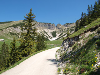 Ackernalm en Autriche. Le sentier almen menant aux pentes ravinées du Bärenjoch