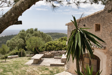 Terrasse mit Palme in Spanien