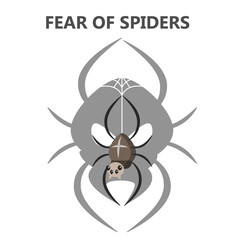 Fear of spiders