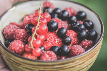 A cup with ripe berries of strawberry, raspberry, black currant, red currant