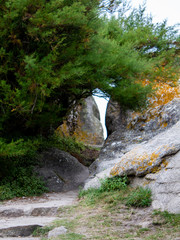 passage végétaux 