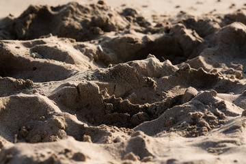Sunlit sandy beach grains macro closeup