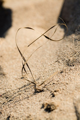 Straw shaped as eternity or infinity sign on sandy beach grains