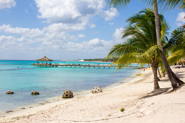 Fototapeta na wymiar Amazing exotic landscape of the Caribbean sea beach: palms, pier and attractive turquoise water. Bounty style photo. High resolution