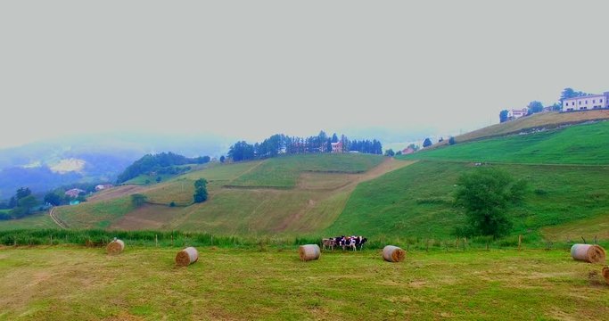 Aerial view of a hill with cows and hay bales.