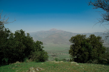 landscape with trees and blue sky