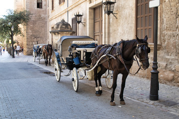 Naklejka na ściany i meble Pferdekutsche wartet auf Touristen in Palma de Mallorca
