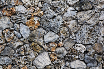 Wall made from coral pieces