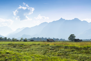 Fototapeta premium tief stehende Sonne im bayerischen Voralpenland