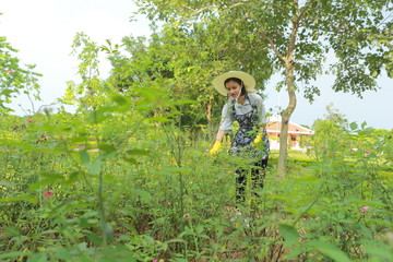 young woman gardening 