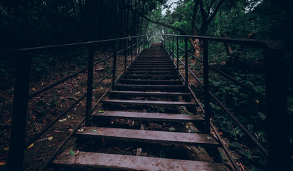 stairs walking in the forest Thailand
