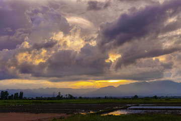 Fototapeta premium Landscape of cloudy sky cover the mountain and rice field.