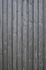 Fototapeta premium Holzwand