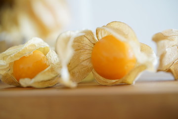 Physalis