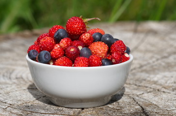Porcelain bowl with strawberries and blueberries on a wooden stump outdoors