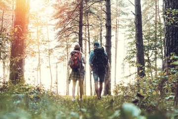 Fototapeta premium Tough route. Beautiful young couple hiking together in the woods while enjoying their journey.