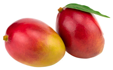 Two whole mangoes with green leaf isolated on white background Clipping Path