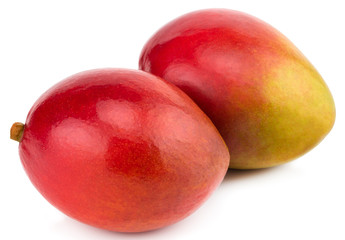 Two mangoes isolated on white background Clipping Path