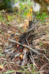 Small fire in the autumn forest.