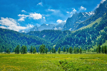 Fototapeta premium Paesaggio Alpino