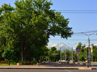 Fototapeta na wymiar Almaty summer streets