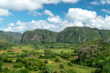 Fototapeta na wymiar Mountains in Viniales, Cuba