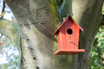 Nistkasten an einem Baum