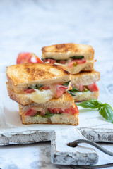 Delisious grilled cheese caprese panini with tomato, mozzarella