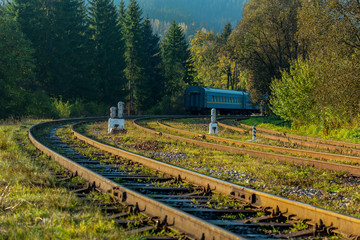 train on railroad tracks in the  forest