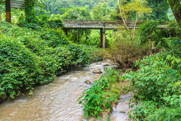 Bridge cross river in a forest.